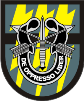 12th Special Forces Group